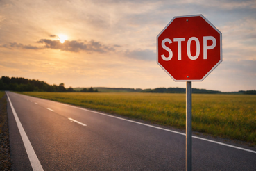 Временное прекращение движения всех категорий транспортных средств по участкам автомобильных дорог общего пользования регионального значения «Санкт-Петербург – завод имени Свердлова – Всеволожск» и «Санкт-Петербург – Морье»